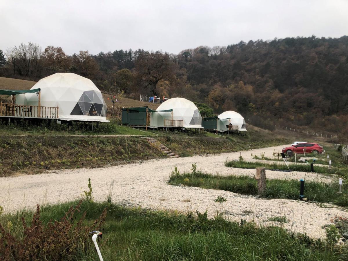 Dengekoru Wildlife & Glamping Hotel Mudurnu Kültér fotó